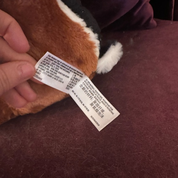 DALE from "Chip and Dale" - Picture 6 of 12